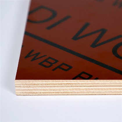 लाल फिल्म ने प्लाईवुड का सामना किया